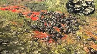 Kingdoms Age MMORTS trailer