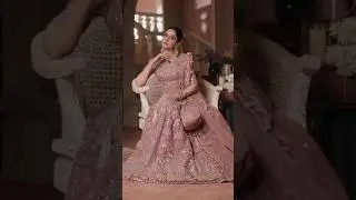 Wedding Festive Collection 