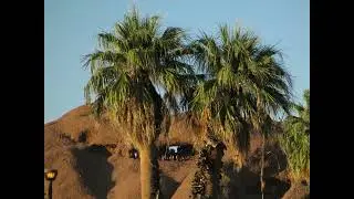 Papago Park