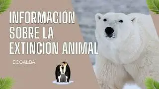 Informaci&oacute;n sobre la extinci&oacute;n animal 🙊