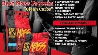 Best Mass Protein on the Market Still ! ( Quick Review) #mass #gains #protein