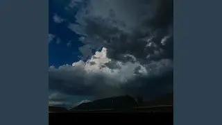 Solo