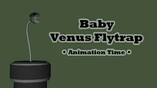 Baby Venus Flytrap - Animation Time!
