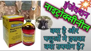 इंजेक्शन नाइट्रॉक्सीनील ( Nitroxynil ) क्या है ? पशुओं की कौनसी बिमारियों मे इसका उपयोग किया जाता है
