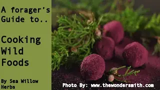 A Forager's Guide to Cooking Wild Foods - #2