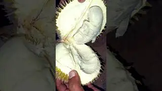 DURIAAN &ndash; The King of Fruits 👑 | Taste Test & Fun Reactions#srilankanfood #fyp# Durian#KingOfFruits