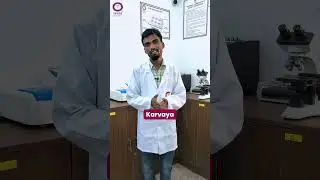 Medical Lab Technology Student | IPSM Student's Words | Best Paramedical College | Medical | NEET