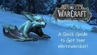 Dragonflight Battle Pets: A Quick Guide to Get Your Whitewhisker!