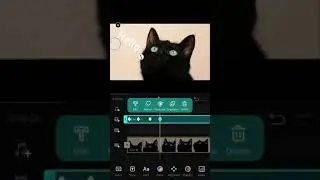 10.Key Frame Animation 丨VN Video Editor App