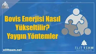 Bovis Enerjisi Nasıl Y&uuml;kseltilir? Yaygın Y&ouml;ntemler ve Bilimsel Ger&ccedil;ekler