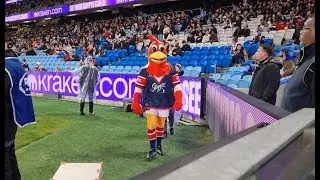 NRL Mascot Rocky The Rooster July 30 2024