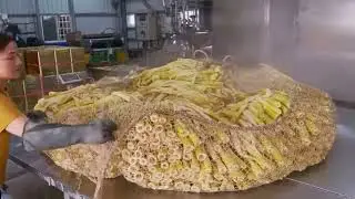 Incredible Bamboo Shoot Manufacturing Process + Traditional Cooking & Eating! | Amazing Scene