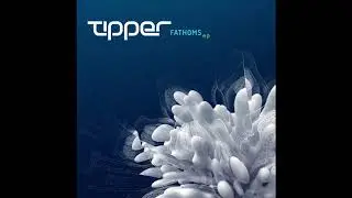 Tipper - Trenched