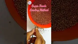 Aari Work Sugar Beads Loading Easy Method | Shobika Aari Work Class🦋