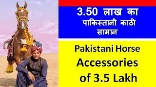 देख लो 3.50 लाख की पाकिस्तानी काठी और कच्छी सिन्धी घोड़ों का रिंग शो - Kachch Bhuj Sindhi Horse Show