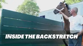 Behind the scenes look on the backstretch  - Transportation #satisfying #equestrian #shorts