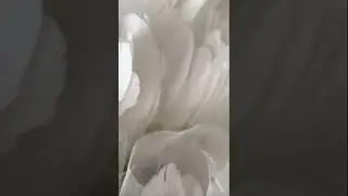 Making white feather wedding dress 👰&zwj;♀️! Calling all brides