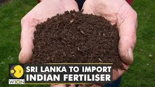 Sri Lanka's agriculture minister decides to import Indian fertilisers | English News | World News