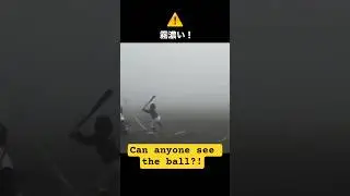 Играем в бейсбол в тумане 😱 #детскаялига #бейсбол #шорты