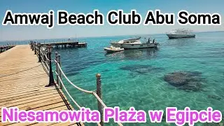 Amwaj Beach Club Abu Soma - Niesamowita Plaża w Hotelu @Sebastian Podróże #beach #vlog #amazing