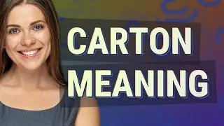 Carton | meaning of Carton