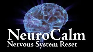 Nervous System Reset | 432 Hz Earth Medicine Music To Feel Safe, Grounded & Loved | Cleansing Energy