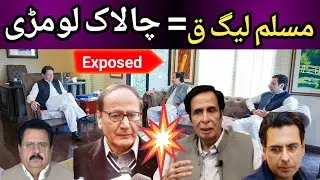 Real Game of Ch Shujat Hussain, Pervaiz Elahi & Moonis Elahi | Inside Story of PML Q | The Bold Side