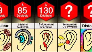 Comparaison : Quelle Quantité De Son Pour ___ ?