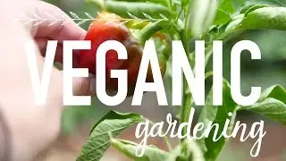 Growing Your Own Food | Veganic Gardening