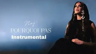 NEJ' - Pourquoi Pas (Instrumental)