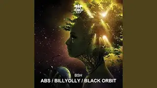 Black Orbit