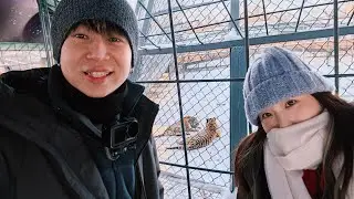 2025.12 Harbin (Part 1: 东北虎林园 & 冰雪大世界 day view)