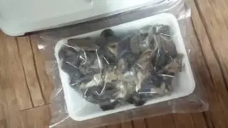 vp-7000 진공포장기 Pack Plus