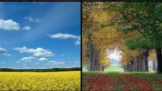 Four seasons in Sweden 🇸🇪. Which one is your favourite? #season #video.