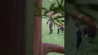 How To Find BIGFOOT in Fortnite! 🌲