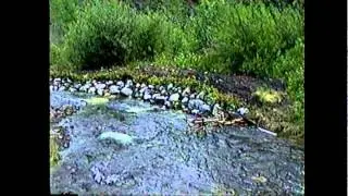 Canmore Creek Fish Habitat - Rock Wall Project 1998.mpg