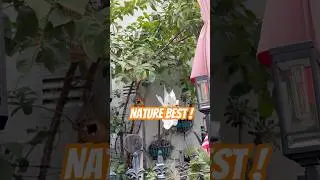 Herbst, die Natur ist am sch&ouml;nsten!