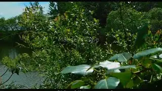 HEES | Samawadihii Lasoo Diray | Muuse Ismaaciil Qalinle Iyo Sacaado Allaale | Original + lyrics