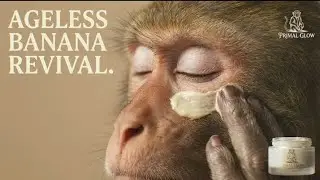 Monkey Skincare Ad &ndash; Unexpected Twist 😂🐵 || #monkey #ai #copyright #video #viral || SaMi WaSeeM ||
