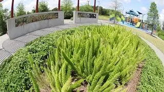 Dylan Park - Houston, TX - Visit a Playground - Landscape Structures Inc.