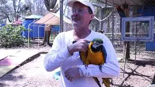Summer 2021, Week 7: WFPL presents Uncle Sandy's Macaw Bird Park