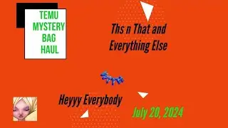 Mystery Bag Swap with Heyyy Everybody/ July  20, 2024
