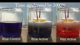 Aquachi Dye separation Experiment