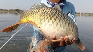 fishing videos with katla fishing in nets