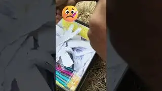 Birthday Gift from Girls