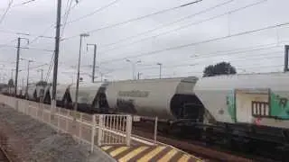 BB 75000 + C&eacute;r&eacute;aliers