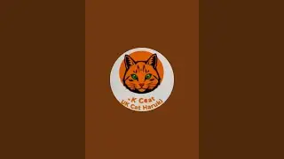 uk cat haruki is live