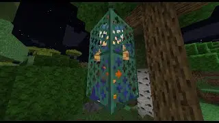 Day 1 of my forever world