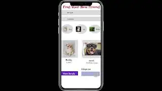 PET ADOPTION PLATFORM PROTOTYPE