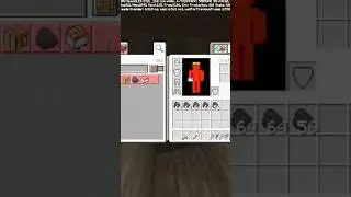 that was a small vein #minecraftmemes #funny